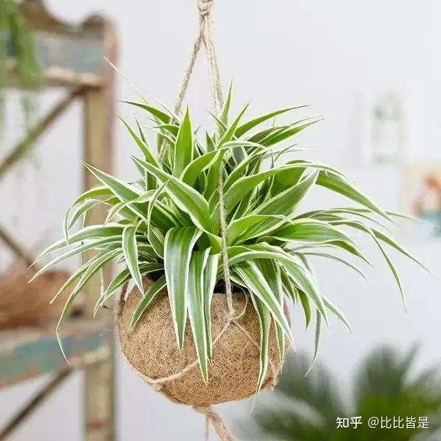 荣取名字大全男孩名字：挑选最佳名字的艺术