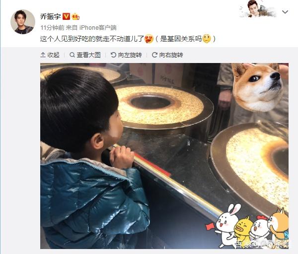 沈姓女孩名字：专业取名大师为您精心挑选