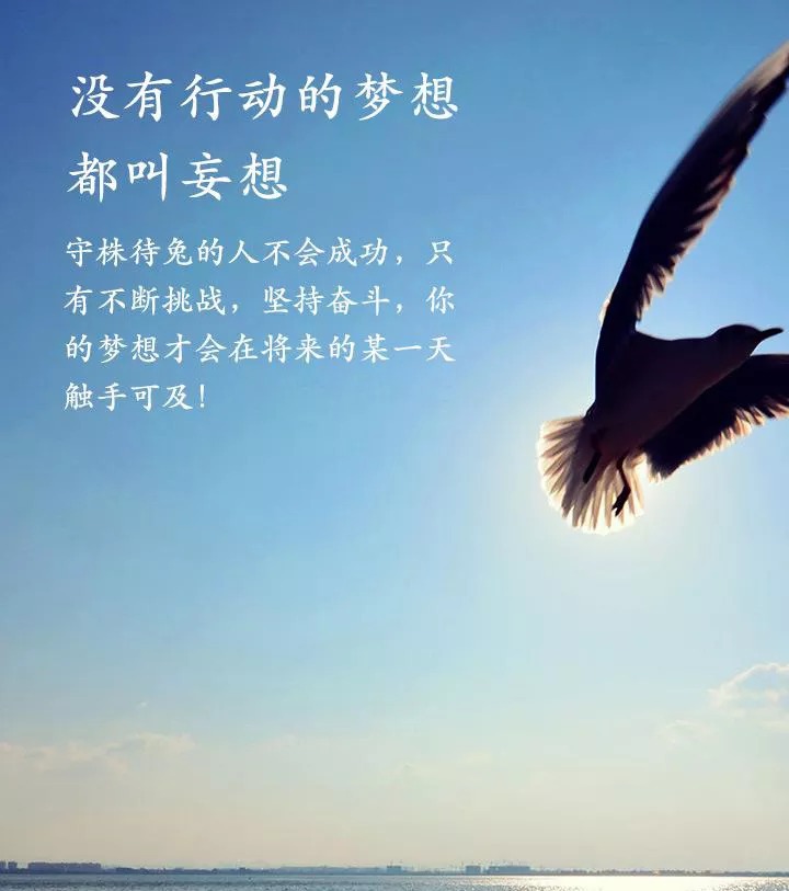 应字辈男孩取名：传承与创新的完美结合