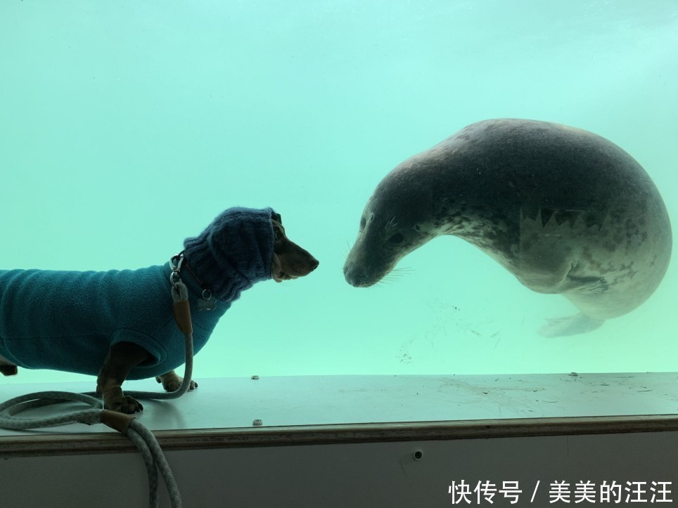 姓汪的男孩名字鸡年：精选鸡年吉祥好名