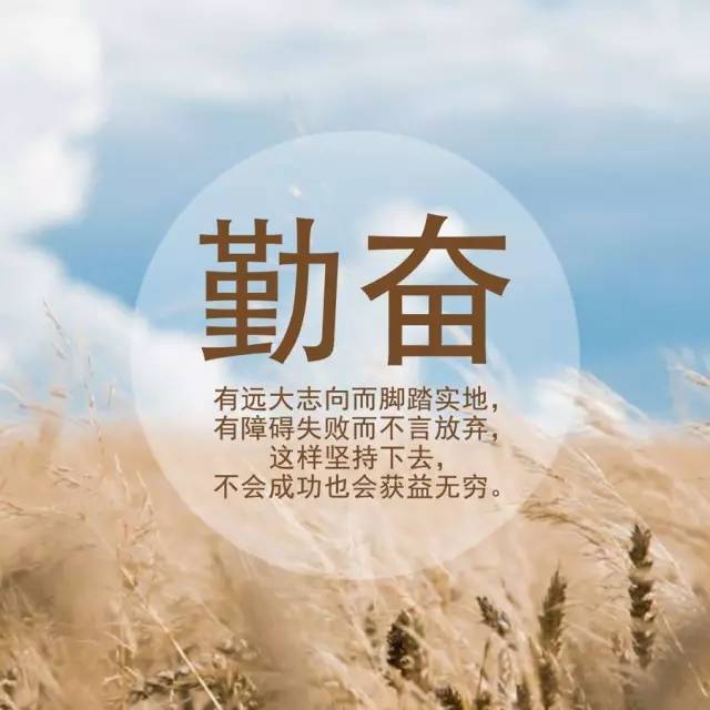 杨姓男孩取名大全：精选创意名字，助力孩子成长
