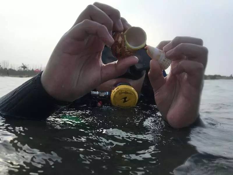 霸气网名简短：打造个性独特的网络形象