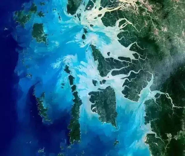 锋的英文名有哪些？专业取名大师为您揭晓