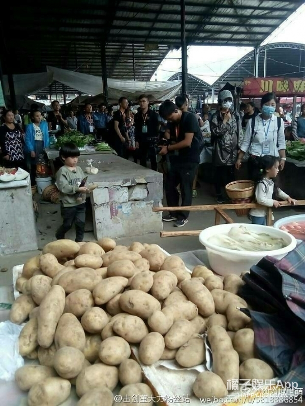 鲁姓女孩取名：专业取名大师为你解锁取名奥秘