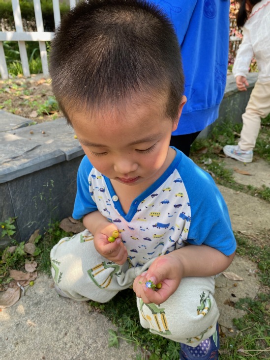 钱取名男孩：寓意财富与吉祥的名字精选
