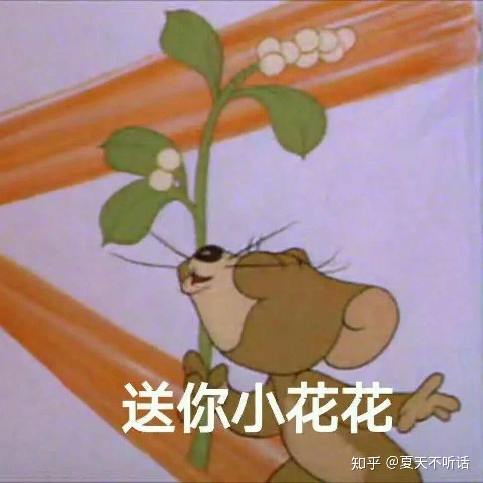在线测英文名：发现最适合你的个性名字
