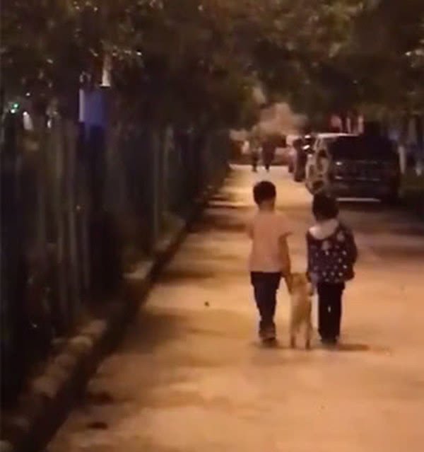 女孩刘之：专业取名大师为您打造独特姓名