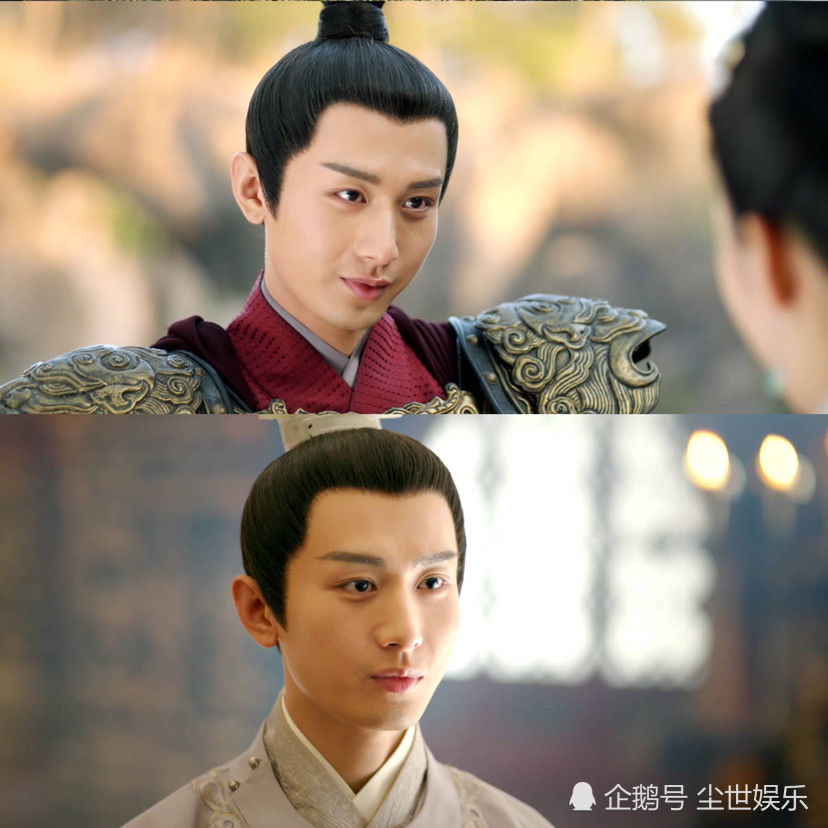 泰迪狗的名字英文名：创意与实用的完美结合
