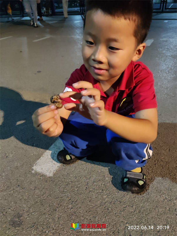 可爱女生QQ网名精选：打造你的个性标签