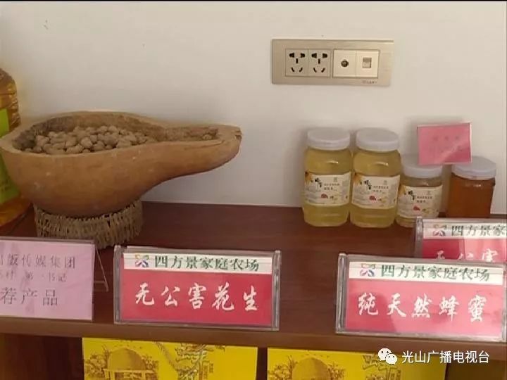 仓鼠英文名字大全：创意无限的仓鼠命名指南