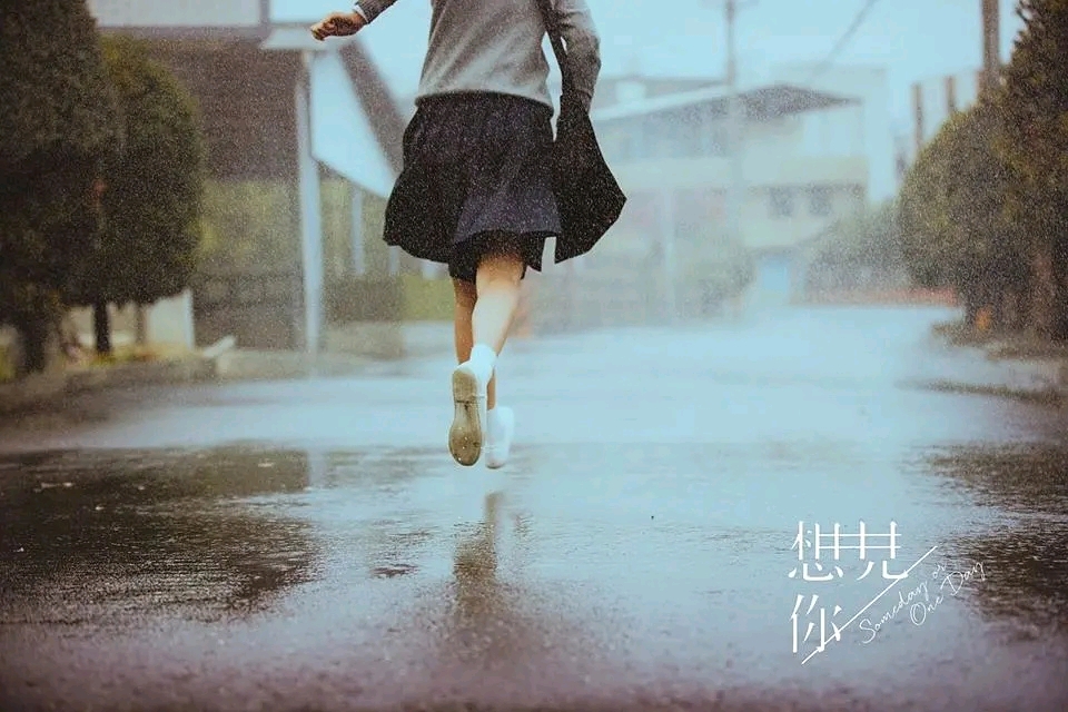 探索“玫字英文名”：为美丽名字寻找完美英文对应