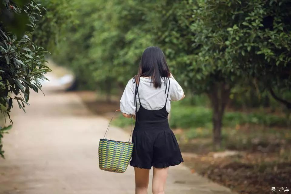 打造独特个性：带艳网名的艺术与魅力