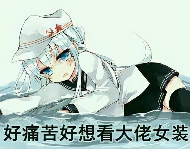 寻找“苍”的英文名：为独特个性赋予魅力之称