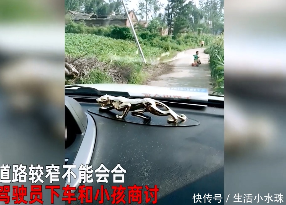 靓的英文名：如何为宝宝挑选一个独特的名字