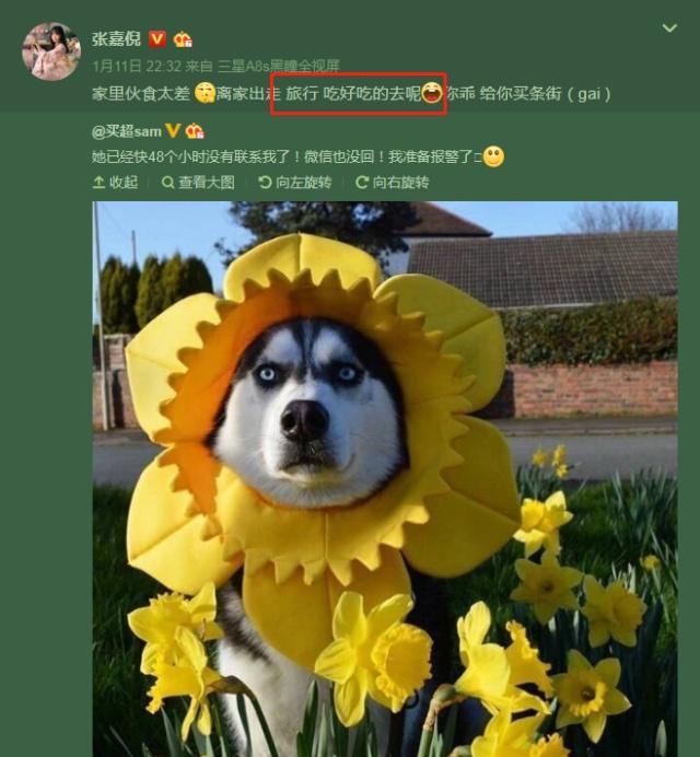 标题：《女孩子的泽：探寻诗意名字中的美好寓意》