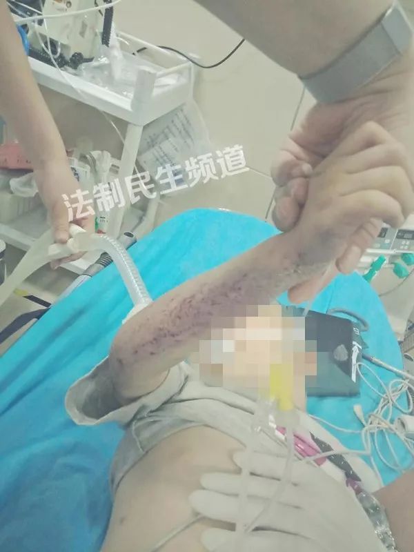 德莱西英文名：为你的宠物打造独特个性