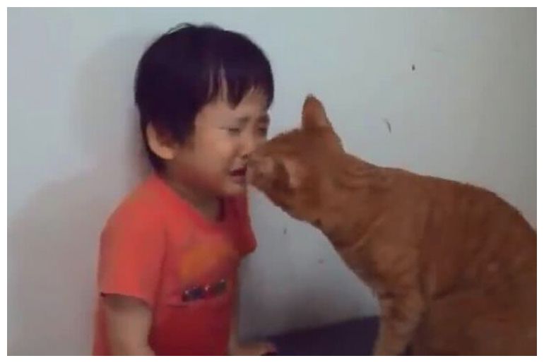 午时生女孩命运：揭秘时辰与姓名的奥秘