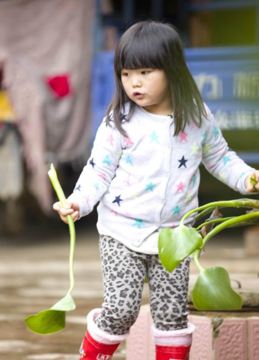 姓刘女孩子取名攻略：独特、优雅、寓意美好